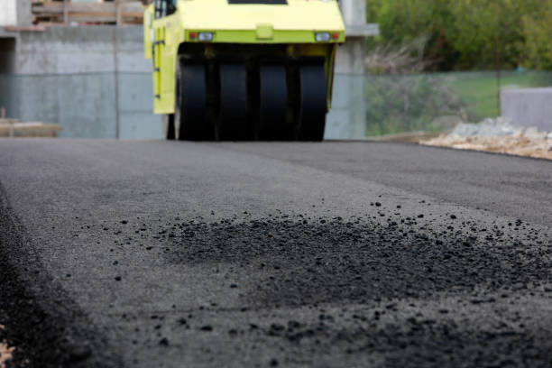 Best Driveway Repair Near Me  in Zapata, TX