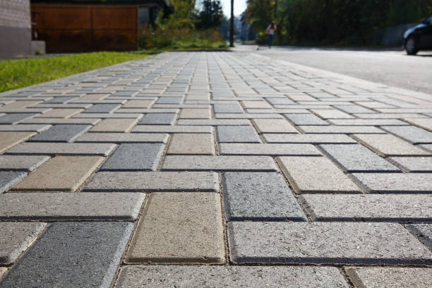 Best Permeable Paver Driveway  in Zapata, TX