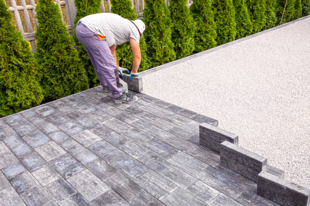 Best Driveway Paving Contractor  in Zapata, TX