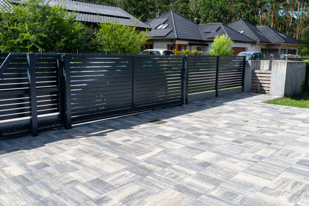 Best Best Driveway Pavers  in Zapata, TX