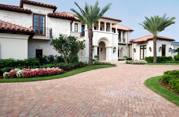 Best Driveway Pavers Near Me  in Zapata, TX