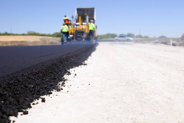 Best Residential Paver Driveway  in Zapata, TX