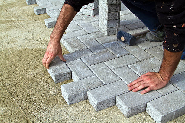Best Driveway Paving Company  in Zapata, TX