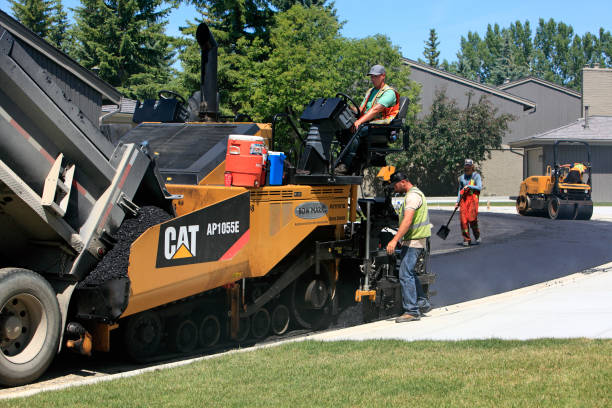 Best Custom Driveway Pavers  in Zapata, TX